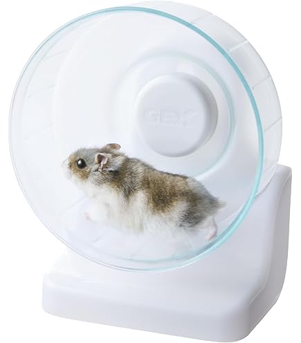 ʕ•ᴥ•ʔDUFFYʕ•ᴥ•ʔ様確認用　ハムスター　ホイールスタンド　餌皿 ʕ•ᴥ•ʔDUFFYʕ•ᴥ•ʔ様確認用 ハムスター ホイールスタンド 餌